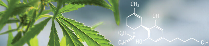 cannabis and cannabinoid research